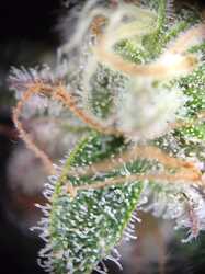 WhatsApp Bild 2024-06-12 um 17.10.34_0b8a4b8f