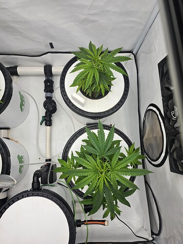 Growreport Bild 20