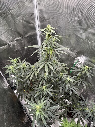 Growreport Bild 21