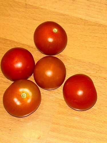 Growreport Bild 79