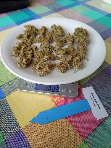 Growreport Bild 14