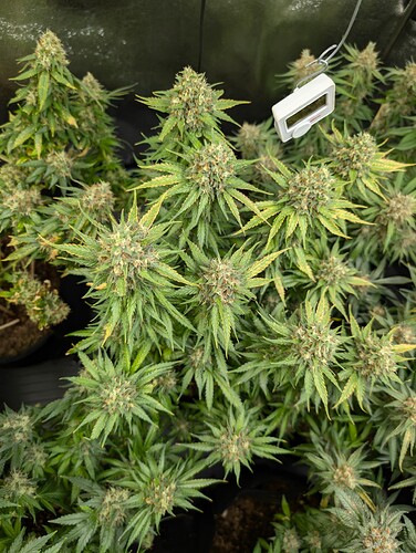 Growreport Bild 14