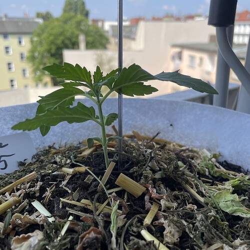 Growreport Bild 23