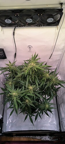 Growreport Bild 8