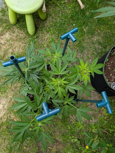 Growreport Bild 9
