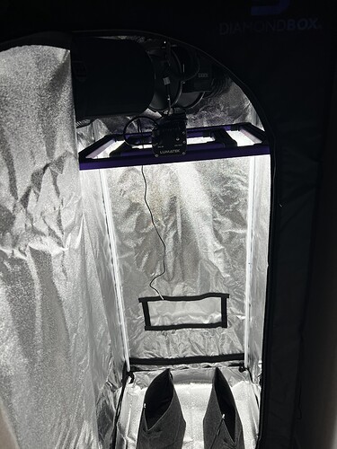 Growreport Bild 2