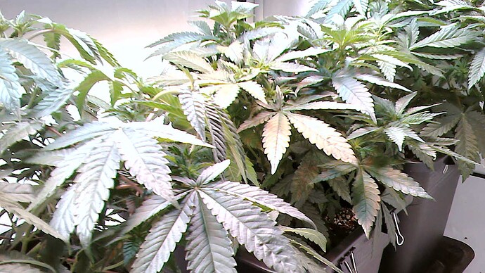 Growreport Bild 12
