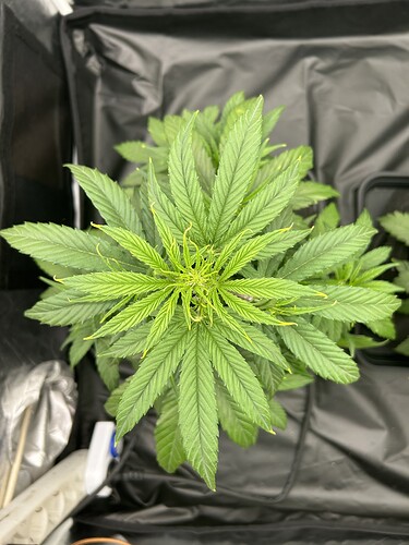 Growreport Bild 11