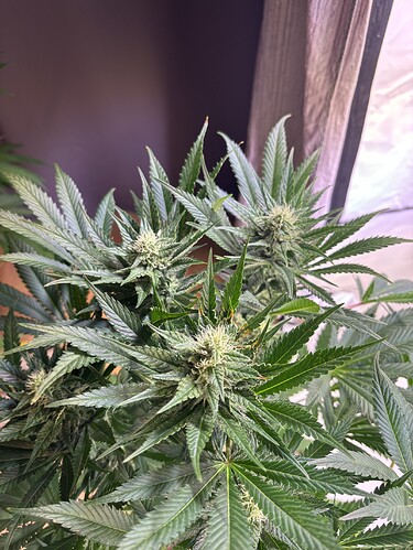 Growreport Bild 8