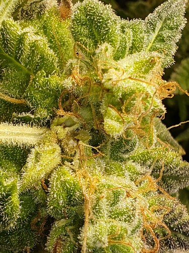 Growreport Bild 17