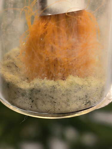 Growreport Bild 2