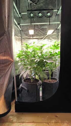 Growreport Bild 15