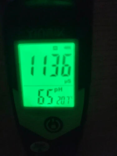1000117451