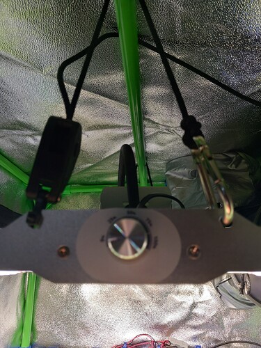 Growreport Bild 8