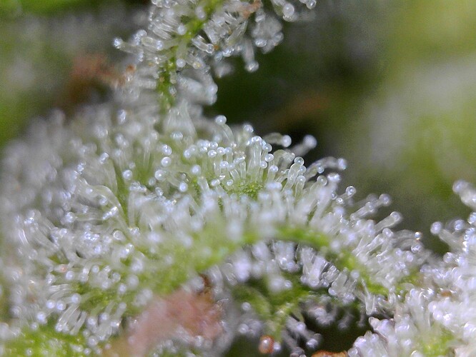 WIN_20240806_22_48_00_Pro