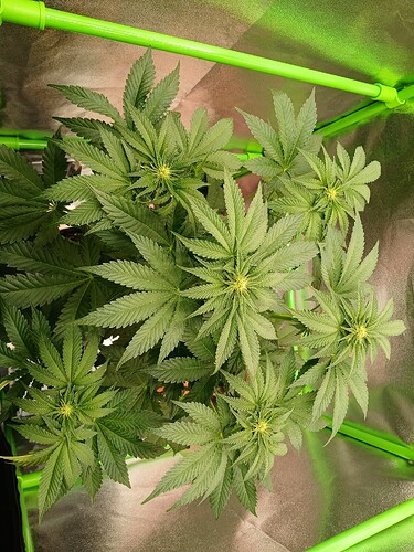 Growreport Bild 13