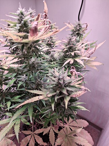 Growreport Bild 15