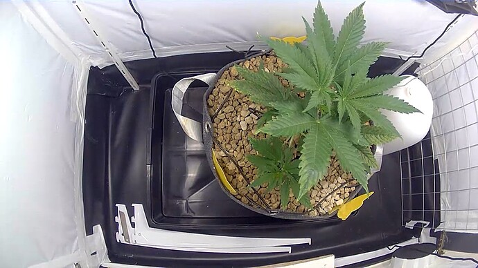 20240501_041149451_iOS