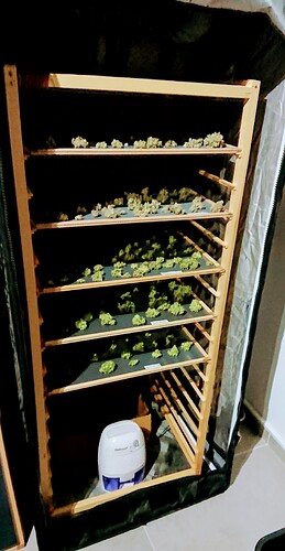 Growreport Bild 10