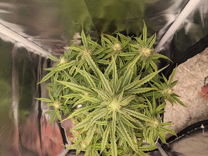 PXL_20240530_210323783