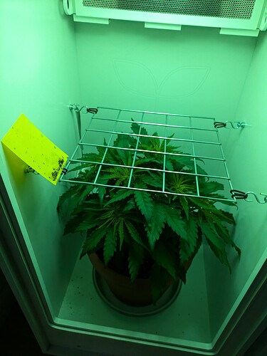 Growreport Bild 2