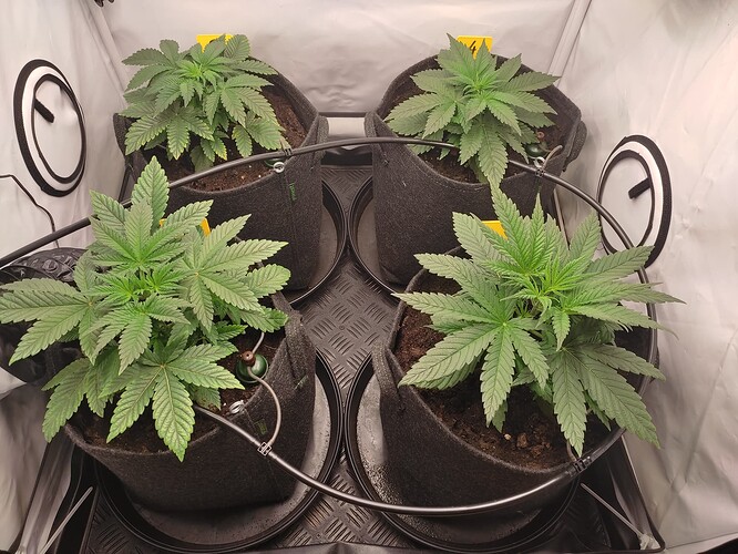 Growreport Bild 13