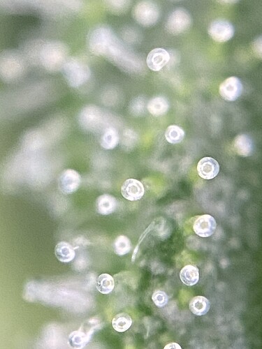 Growreport Bild 18
