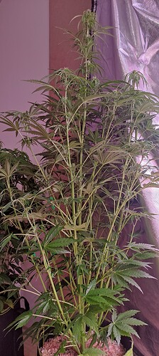 Growreport Bild 26