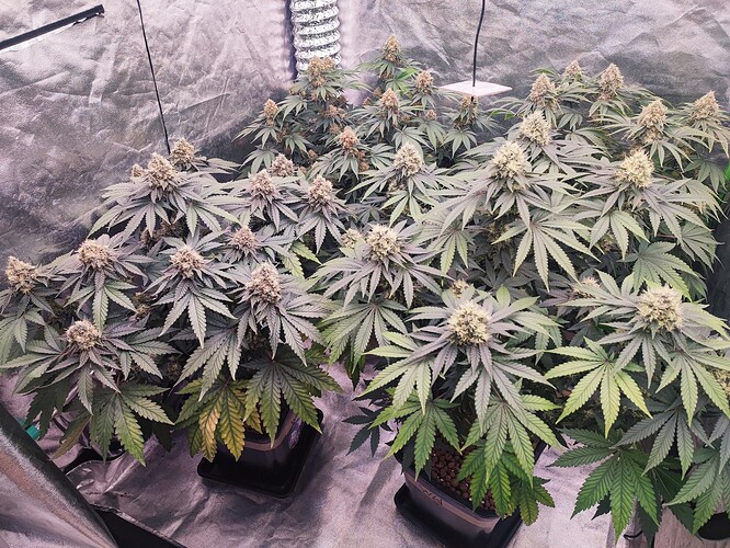 Growreport Bild 22