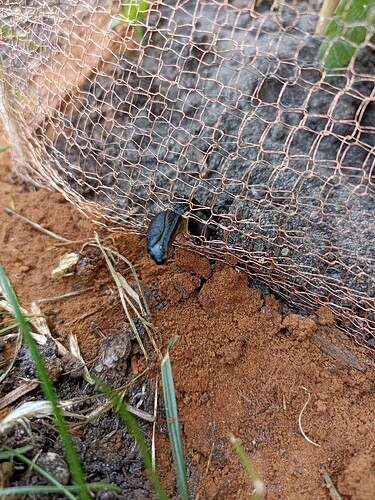 WhatsApp Bild 2025-06-21 um 18.34.22_7b662597