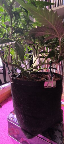 Growreport Bild 10