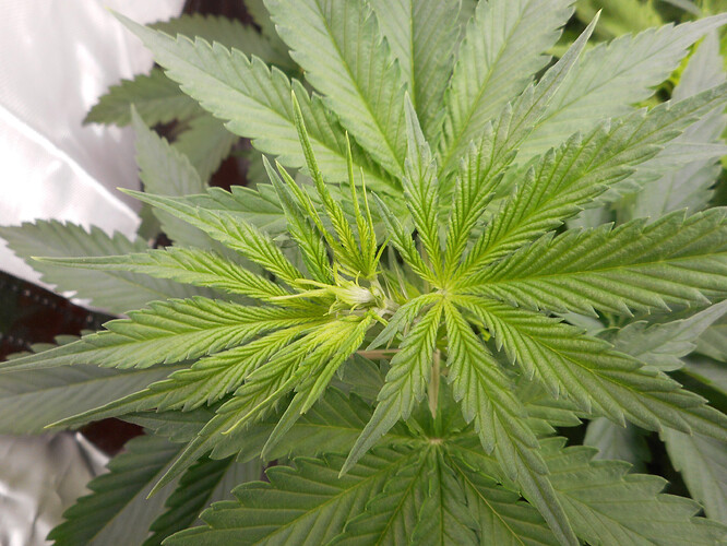 DSCN4760