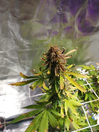 WhatsApp Image 2024-09-04 at 22.34.10