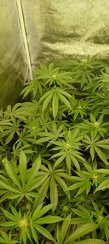 Growreport Bild 5