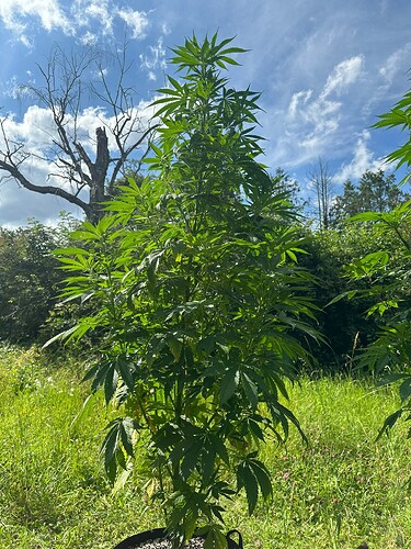 Growreport Bild 9