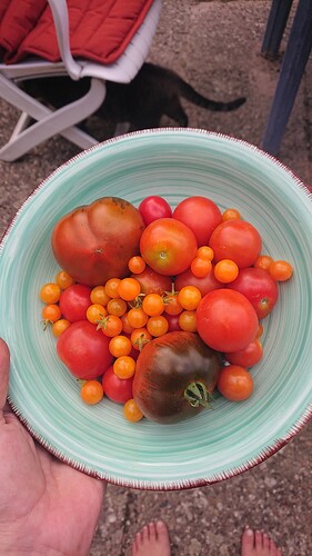 DSC_4173_1755274207030