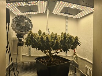 Growreport Bild 4
