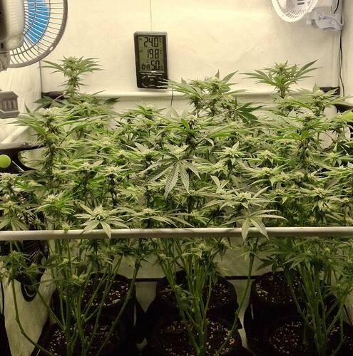 475324157_122165354894293599_6364607030684422698_n