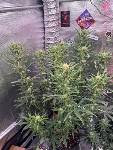 Growreport Bild 13