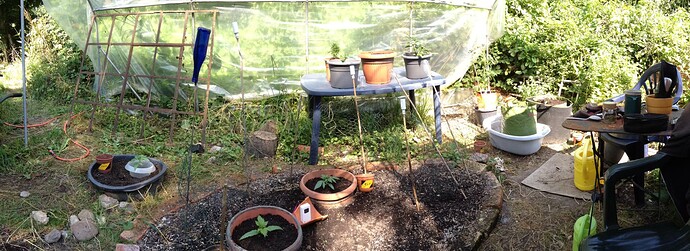 Growreport Bild 39