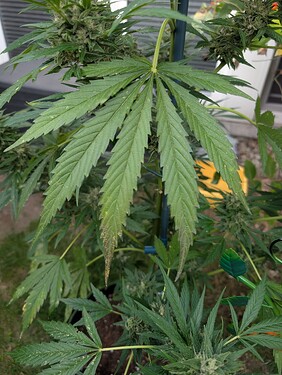 Growreport Bild 8