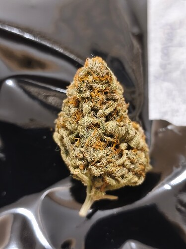 Growreport Bild 4