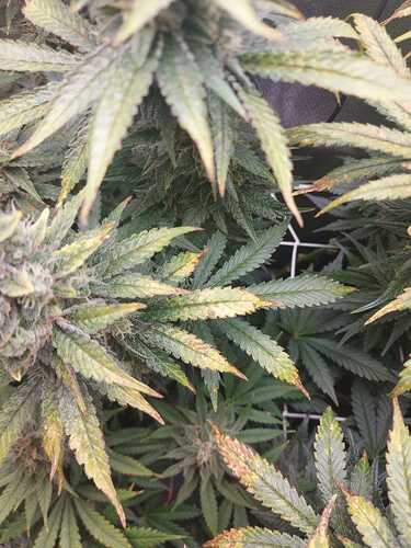 Growreport Bild 10