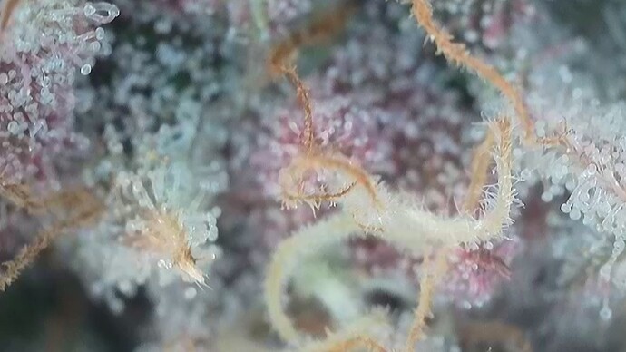 Growreport Bild 17