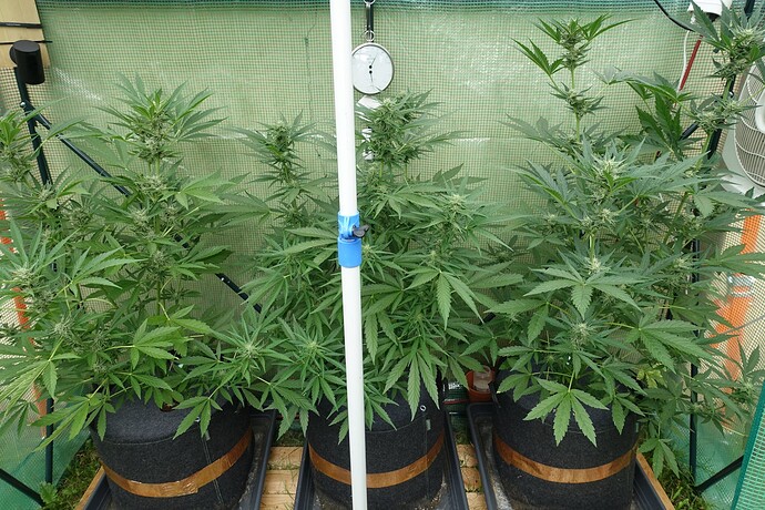 Growreport Bild 12