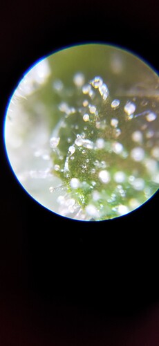 Growreport Bild 16