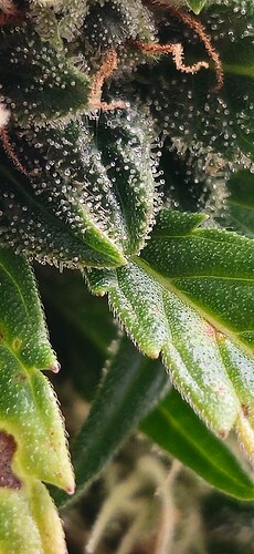 Growreport Bild 16