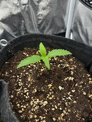 Growreport Bild 13