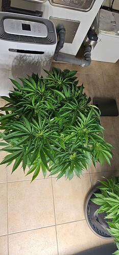 Growreport Bild 8