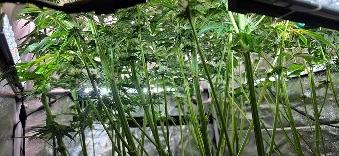 Growreport Bild 25